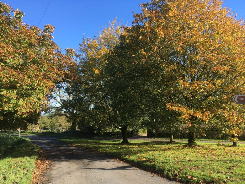 Autumn in Grindon